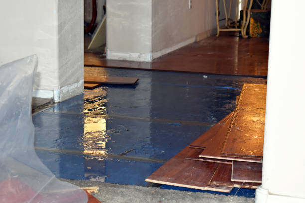 Professional Burst Pipe Cleanup technician working in Chico, TX